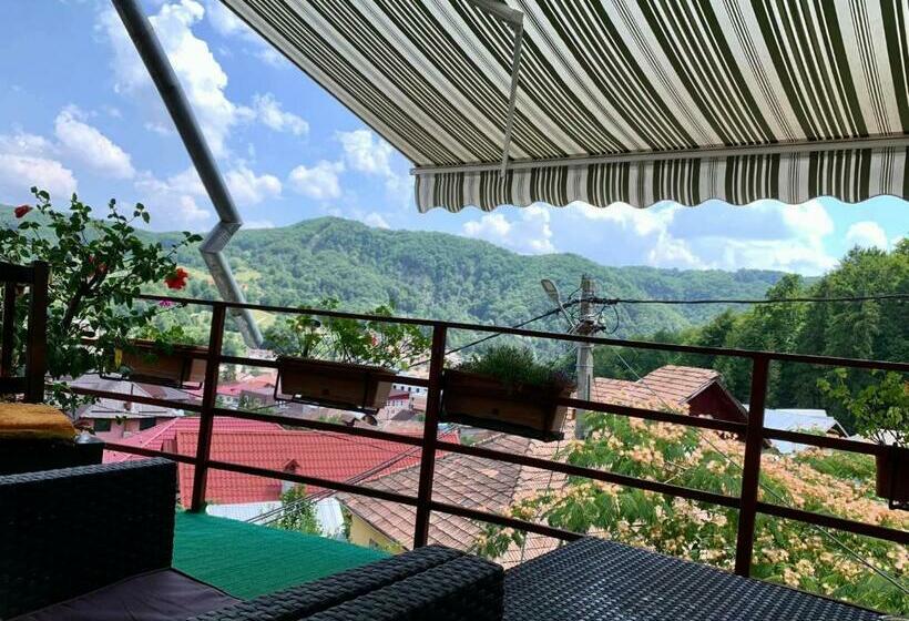 Пансион Casa Olanesti