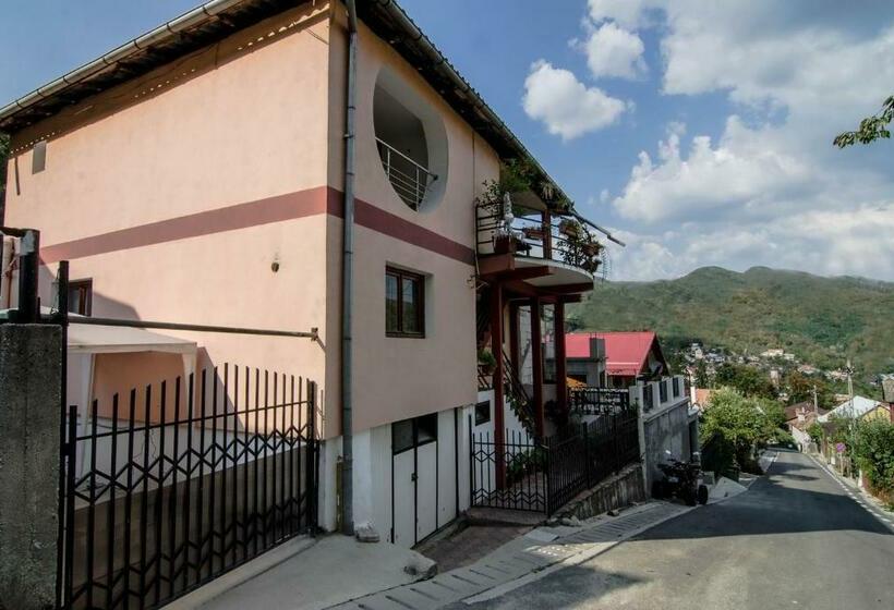 Пансион Casa Olanesti