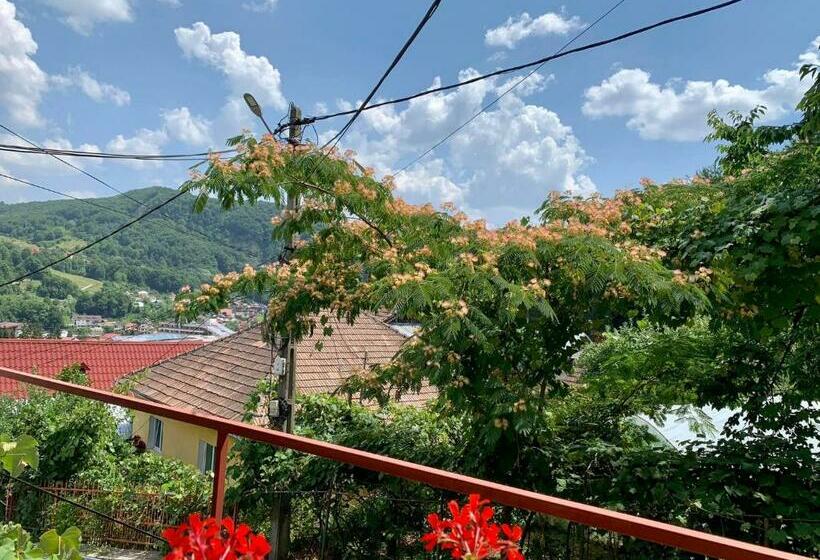 Пансион Casa Olanesti