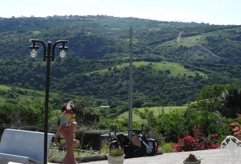 펜션 Encanto Dos Pássaros