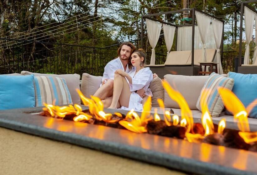 펜션 Pousada Boutique Figueira Da Serra