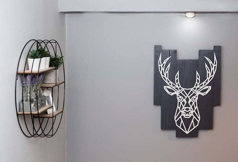 פנסיון St Andrews Guest House