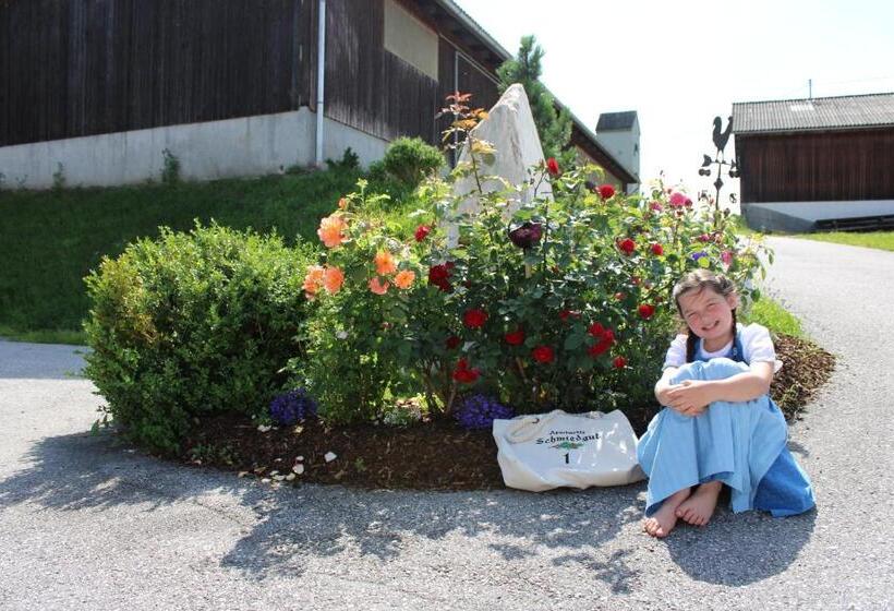 Apartments Schmiedgut