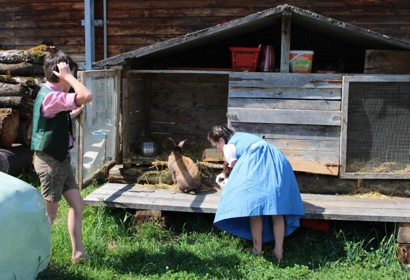 Apartments Schmiedgut