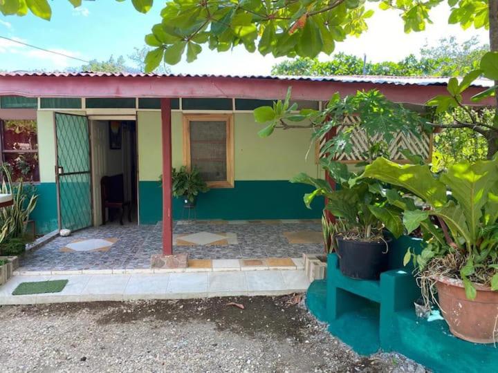 ベッドアンドブレックファースト Coco Verde