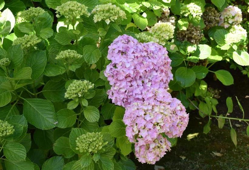 Brisa Apart Valeria Del Mar