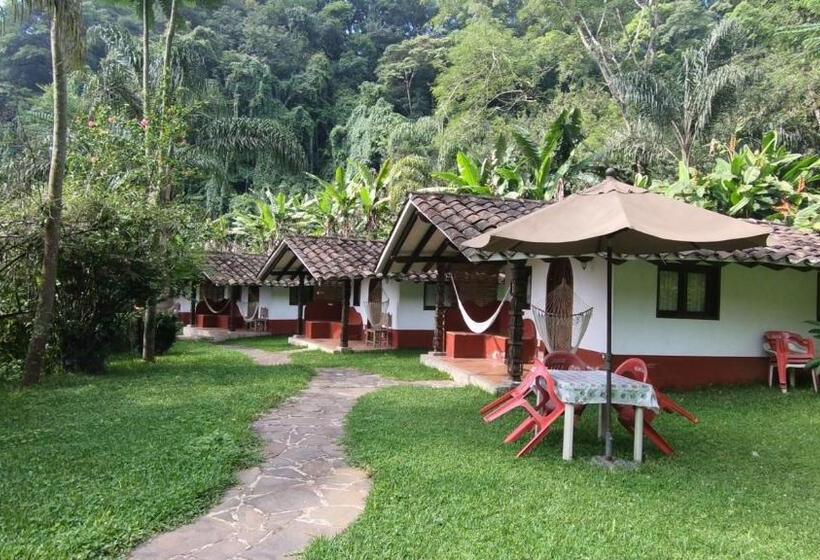 Eco Hotel La Jicarita