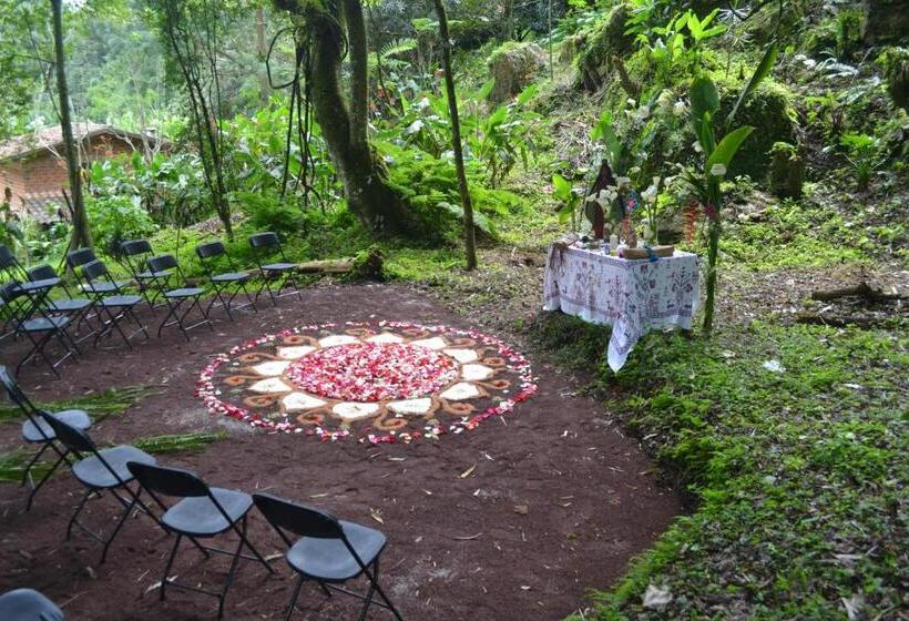 Eco Hotel La Jicarita