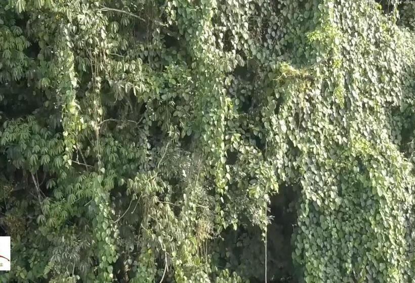 Eco Hotel La Jicarita