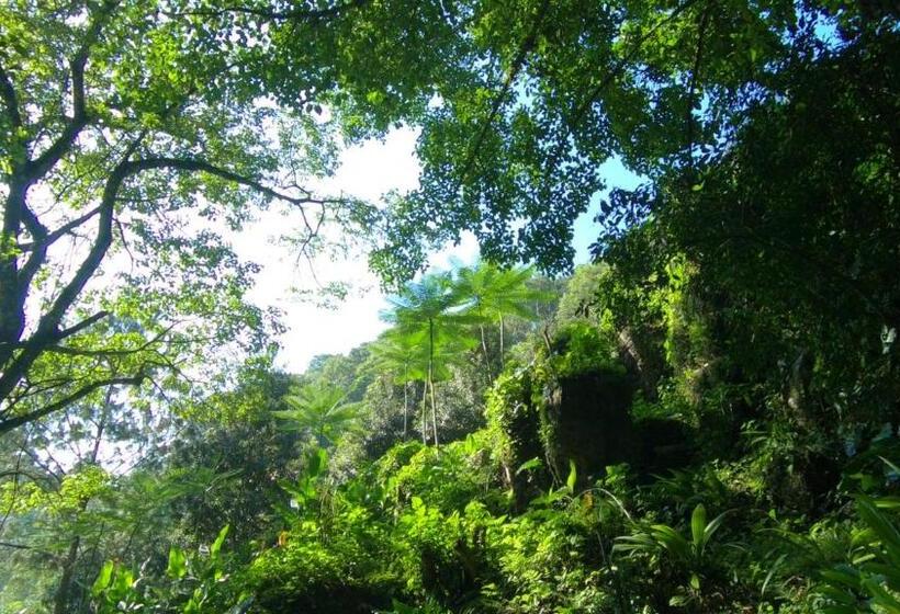 Eco Hotel La Jicarita