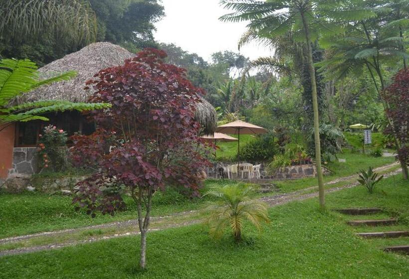 Eco Hotel La Jicarita