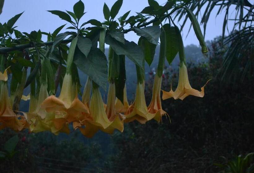 Eco Hotel La Jicarita