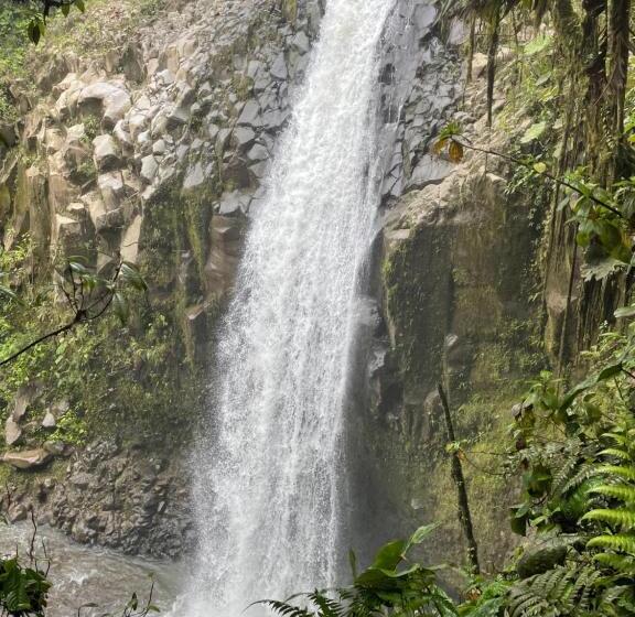 호텔 Casa Del Río