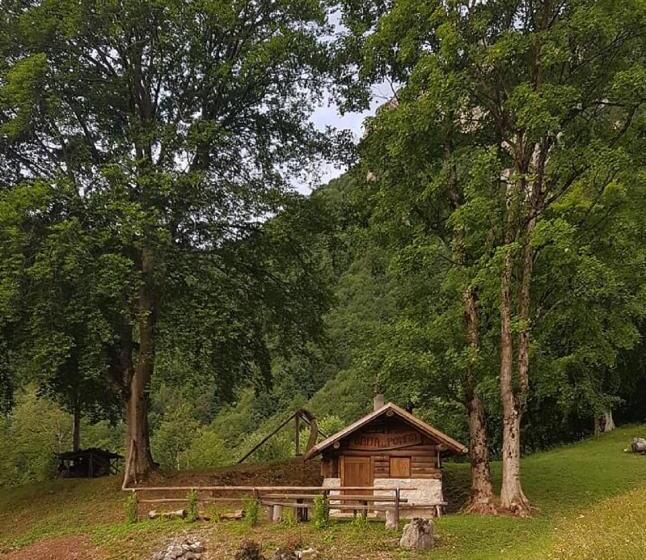 בית מלון כפרי Cristina