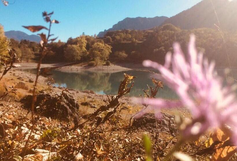 בית מלון כפרי Cristina