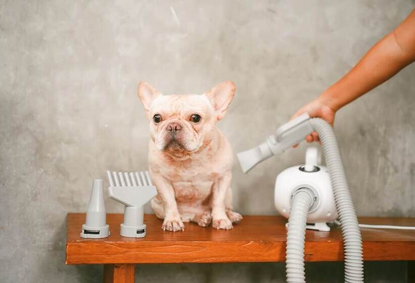 La Miniera Pool Villas Pattaya   Small Luxury Hotels Of The World