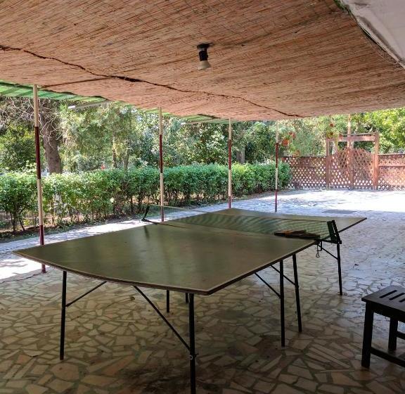 Отель Guest House Salcia