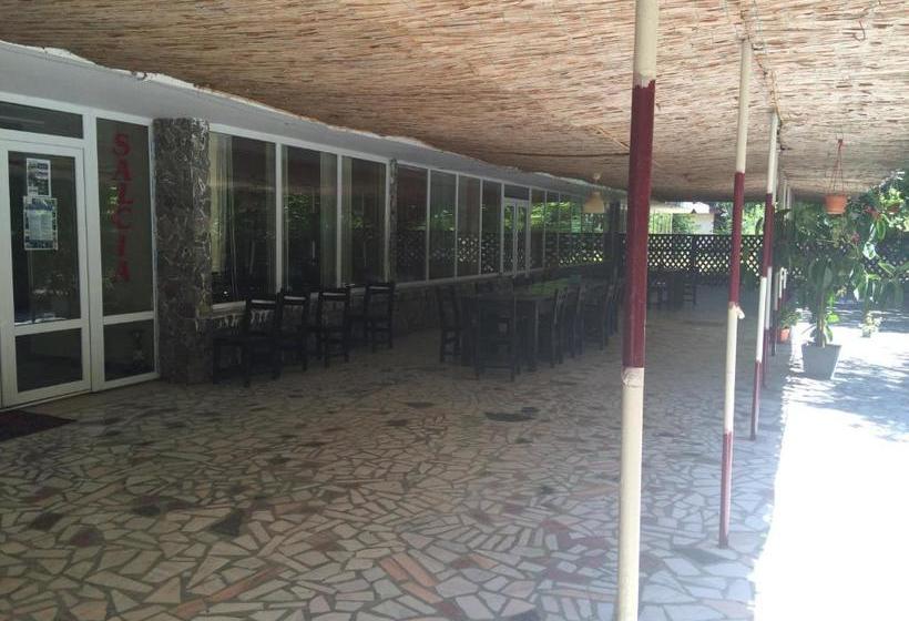Отель Guest House Salcia
