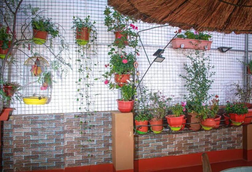 هتل Virgen Del Carmen Huaraz