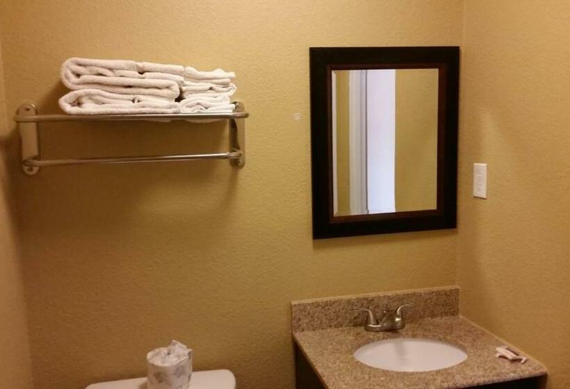 모텔 Travel Inn Snyder