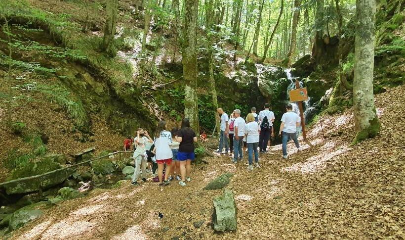 Park Hotel Bellavista