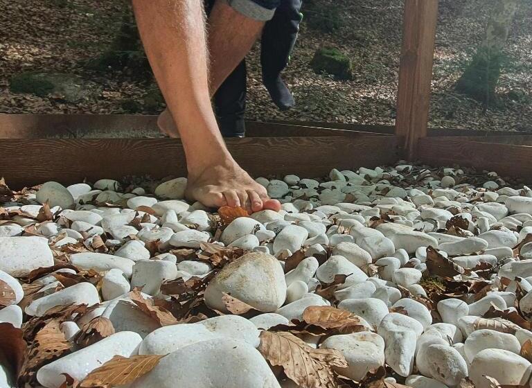 Park Hotel Bellavista