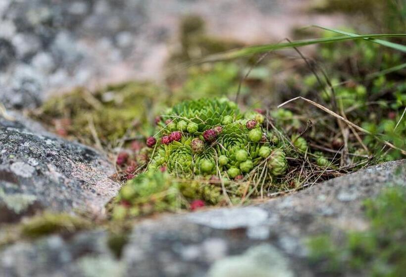 ペンション Brändö Bike And Bed