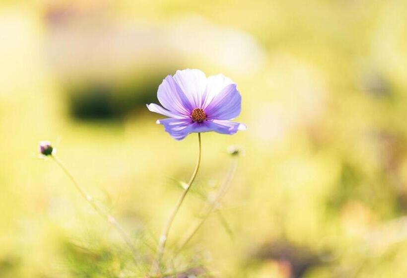 ペンション Brändö Bike And Bed
