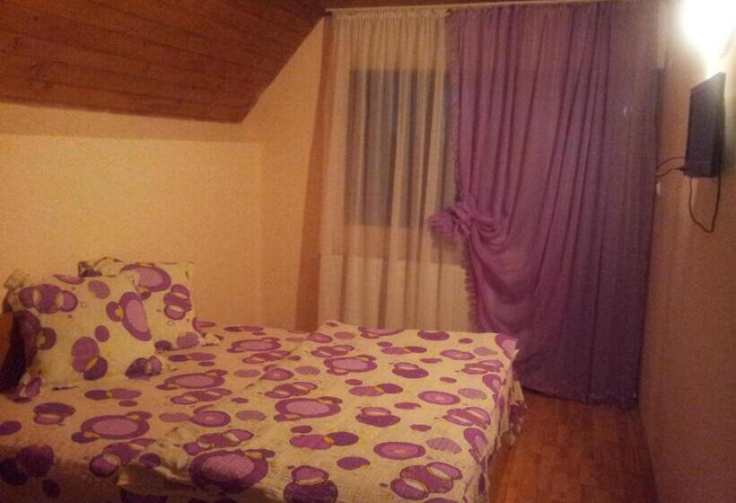 ペンション Cabana Selena