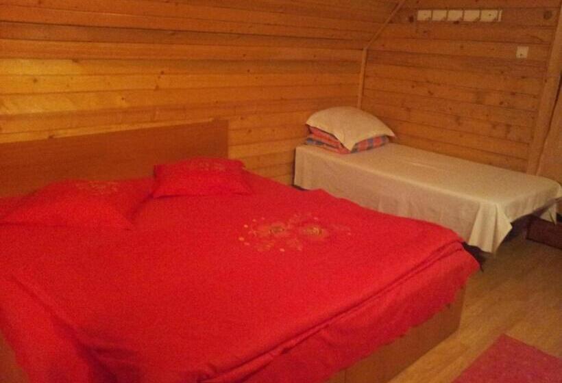 ペンション Cabana Selena