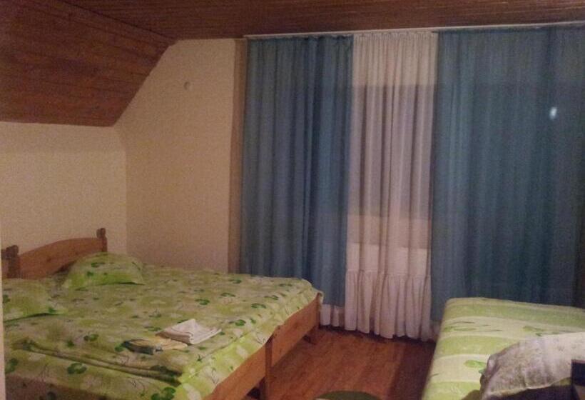 ペンション Cabana Selena