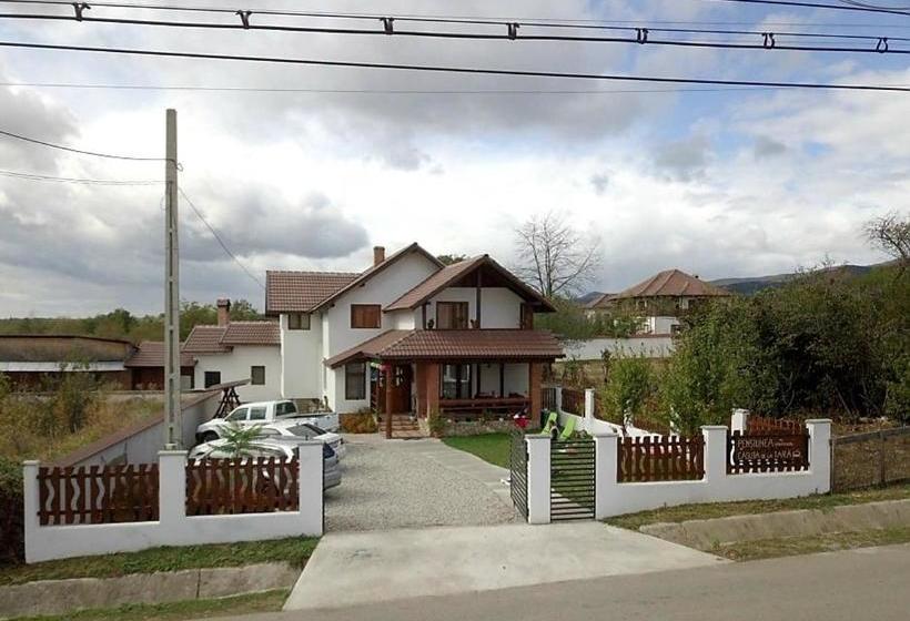 Пансион Căsuța De La țară