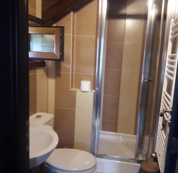 Пансион Căsuța De La țară