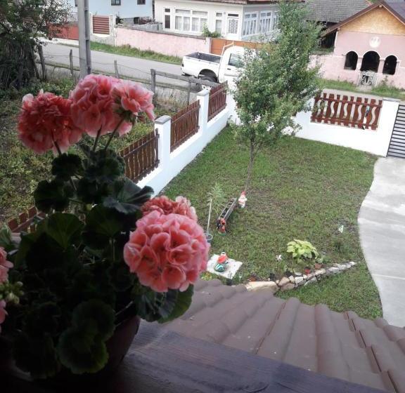 Пансион Căsuța De La țară