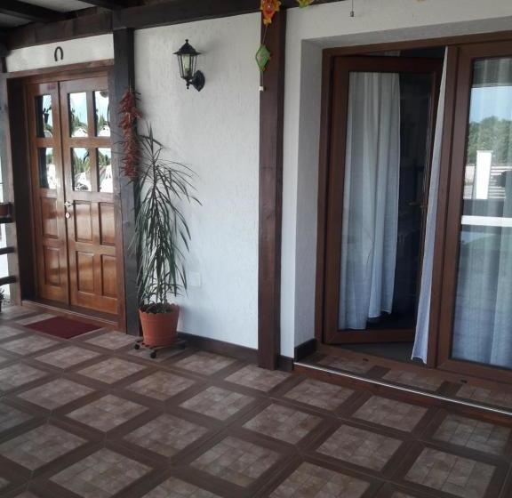 Пансион Căsuța De La țară