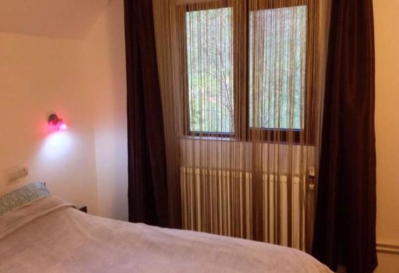 ペンション La Izvor Lepsa