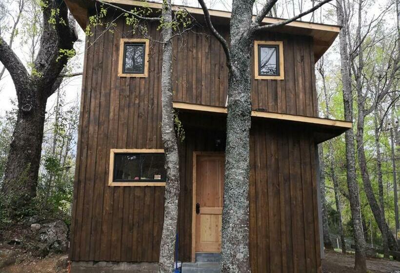 펜션 Loft Canelo   Con Hot Tub Exclusivo, Cercano A Termas Y Lago