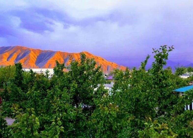 پانسیون Nurgul