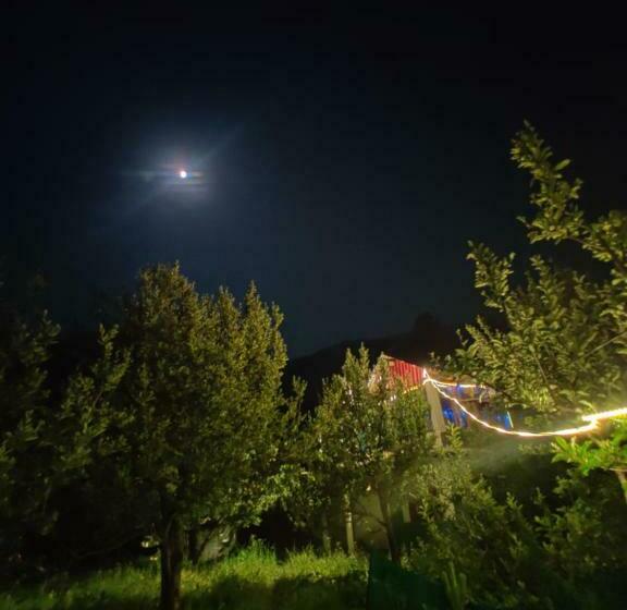 Пансион Parvati Tales