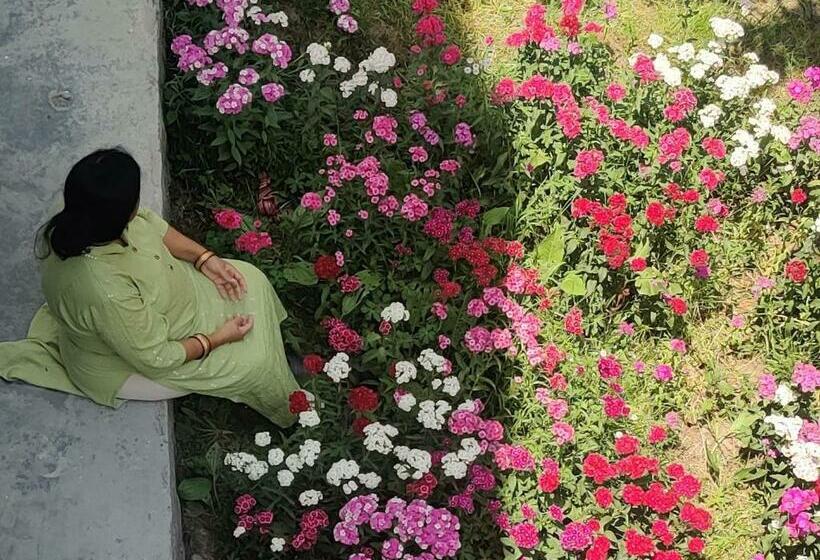 Пансион Parvati Tales