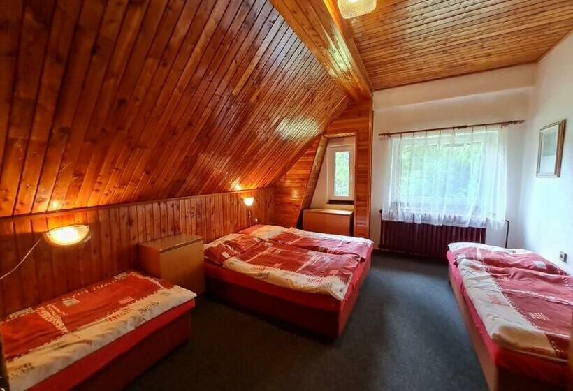 بنسيون Penzion Na Mýtinách