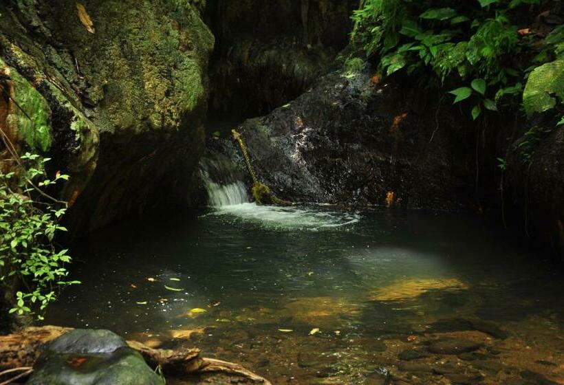 ペンション Peñas De Guachalito
