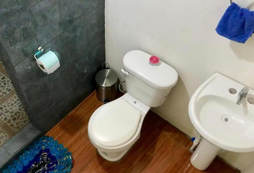 پانسیون El Manantial De Corcovado