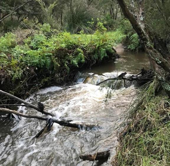 پانسیون Scotsdale Farm