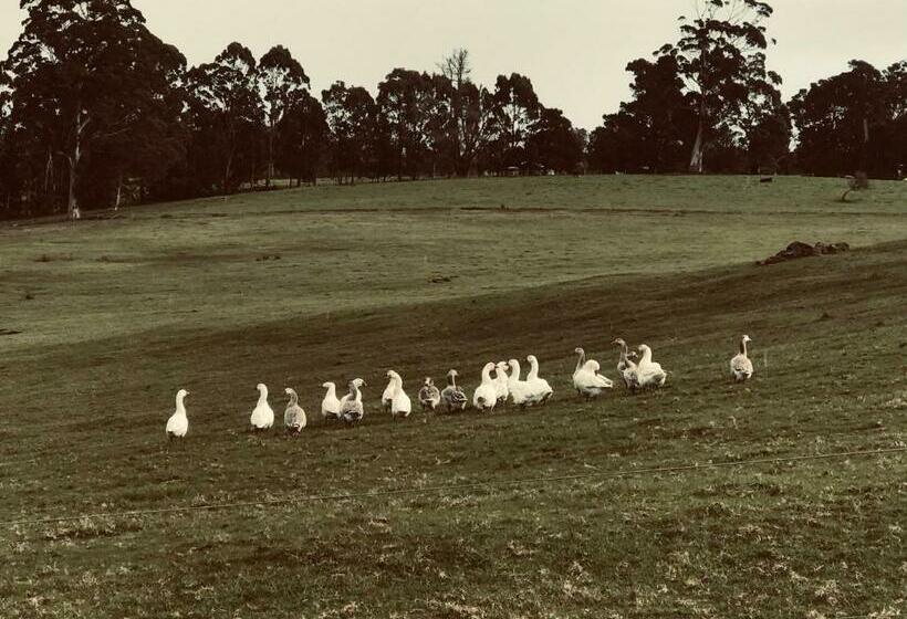 پانسیون Scotsdale Farm