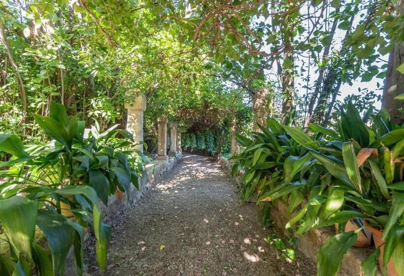 بنسيون Son Vivot  Doble Con Salon