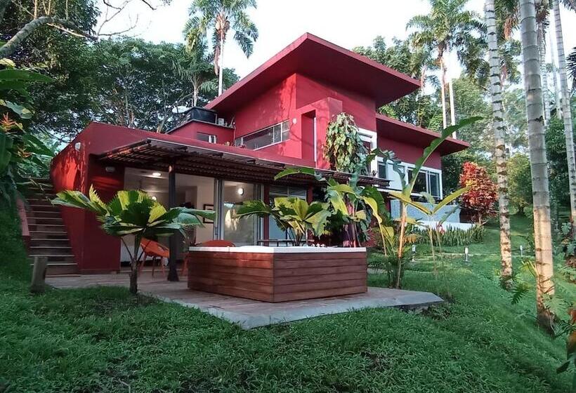 ペンション Tierra Negra Suite