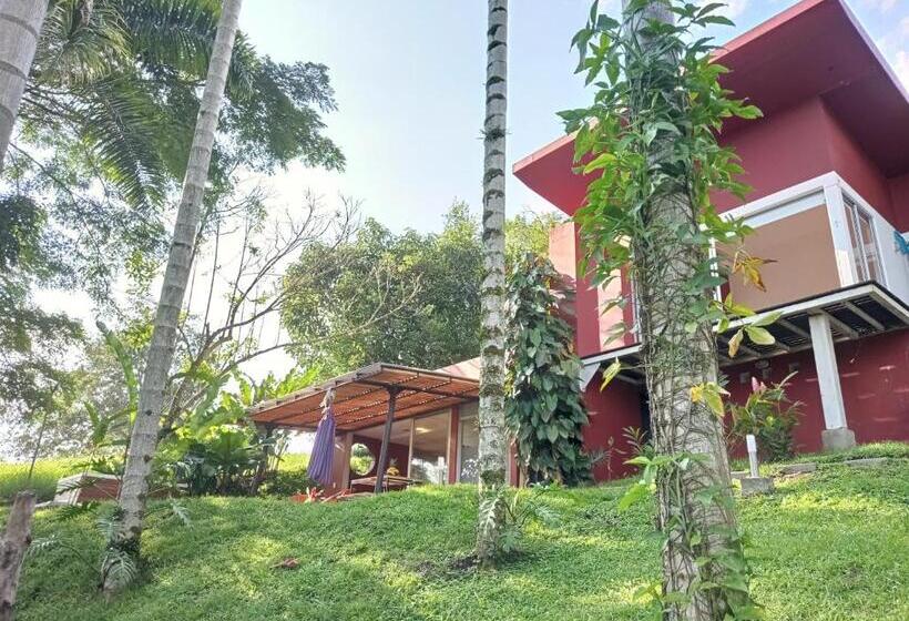 ペンション Tierra Negra Suite