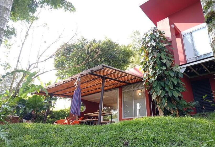 ペンション Tierra Negra Suite