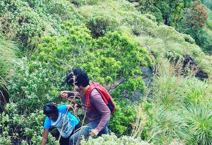 리조트 Paithal Mount Cottage